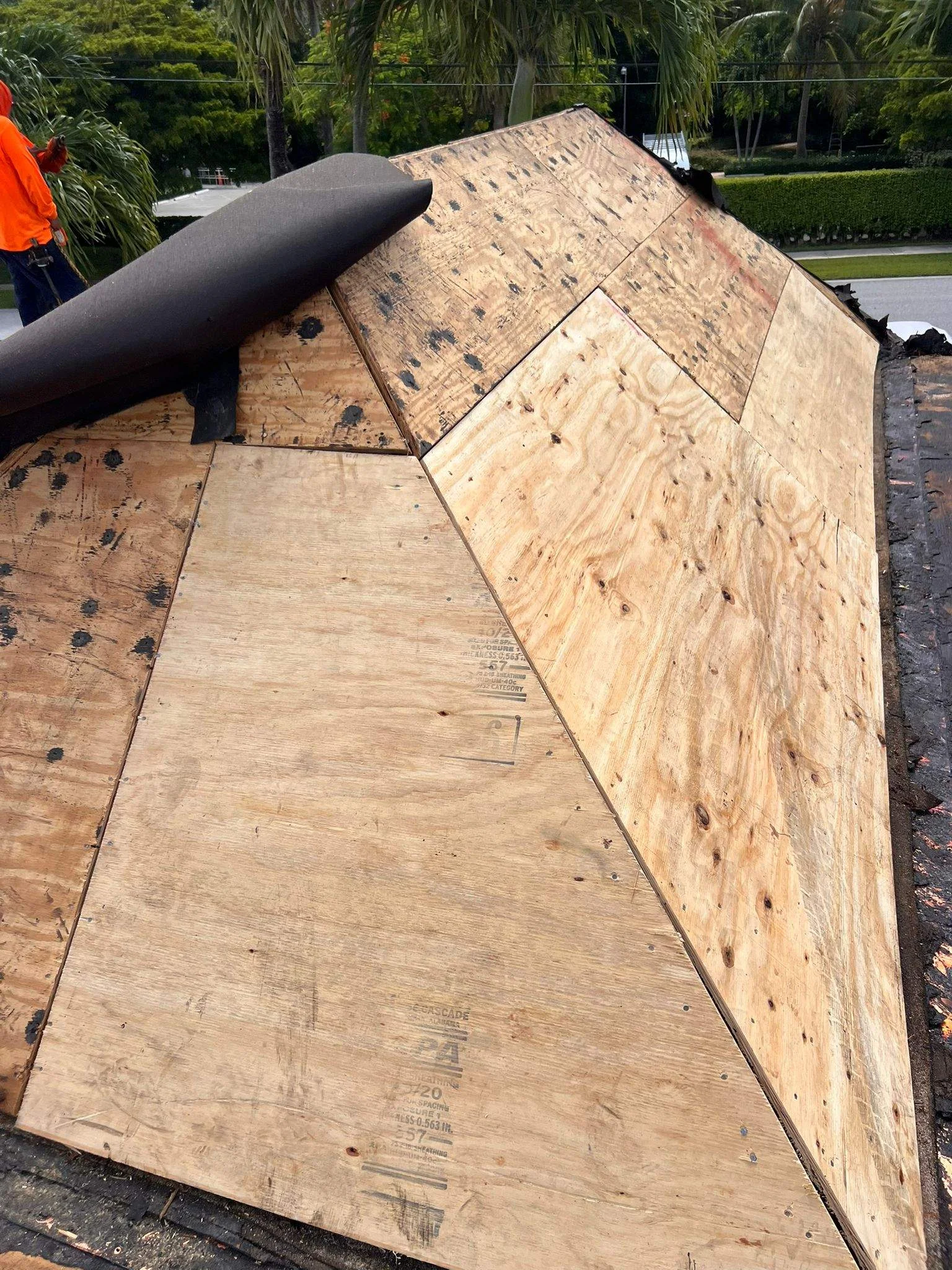 Roofing project with plywood sheeting and protective underlayment during installation.