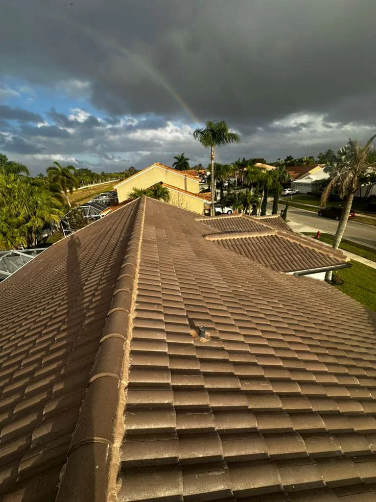Residential tile roof with palm trees and dramatic storm clouds overhead in suburban neighborhood.